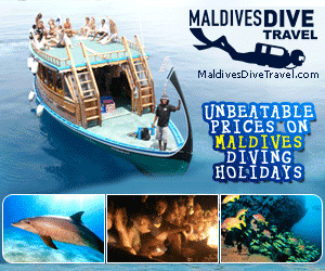 http://www.maldivesdivetravel.com/220.html