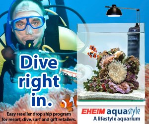 EHEIM DIVE IN