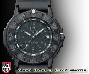 Seal Watch