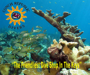 Conch Republic Divers