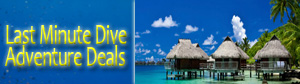 Expedia Deals