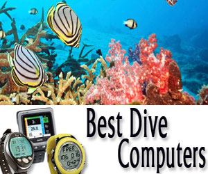 Dive Computer Reviews