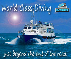 Spree Expeditions