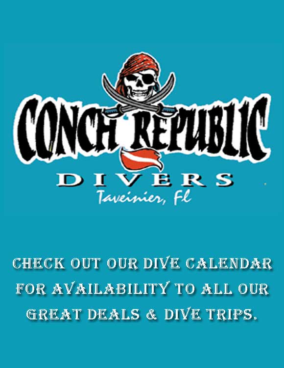 Conch Republic Dive Deal