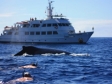Nautilus Explorer