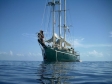Juliet Liveaboard Bahamas