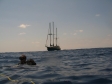 Juliet Liveaboard Bahamas