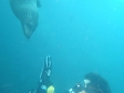 Humboldt Explorer