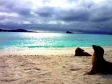 Galapagos
