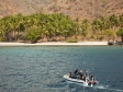 Komodo Dancer Tender