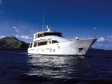Island Dancer II