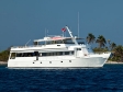 Cayman Aggressor
