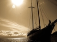 Mutiara Laut
