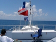 Spree Expeditions