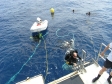Spree Expeditions