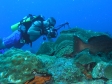 Spree Expeditions