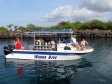 Wanna Dive Kona