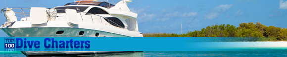 Visit the Dive Charter Listings Site