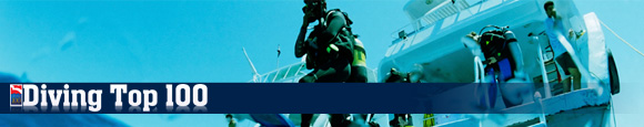 Visit the Diving Top 100 Site