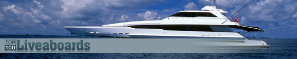 Visit the Liveaboard Listings Site