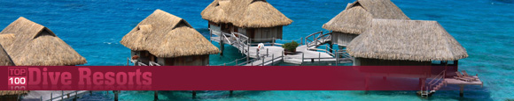 Visit the Dive Resort Listings Site