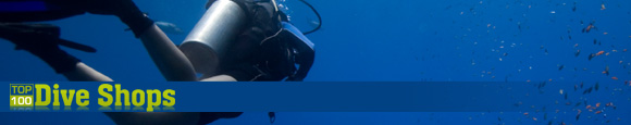 Visit the Dive Shop Listings Site