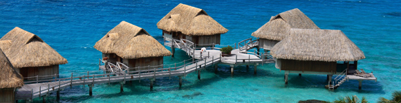 Dive Resort Listings