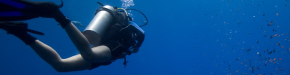 Dive Shop Listings