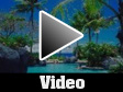 Video Available